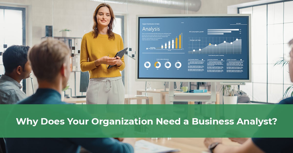 who-does-your-organization-need-business-analyst