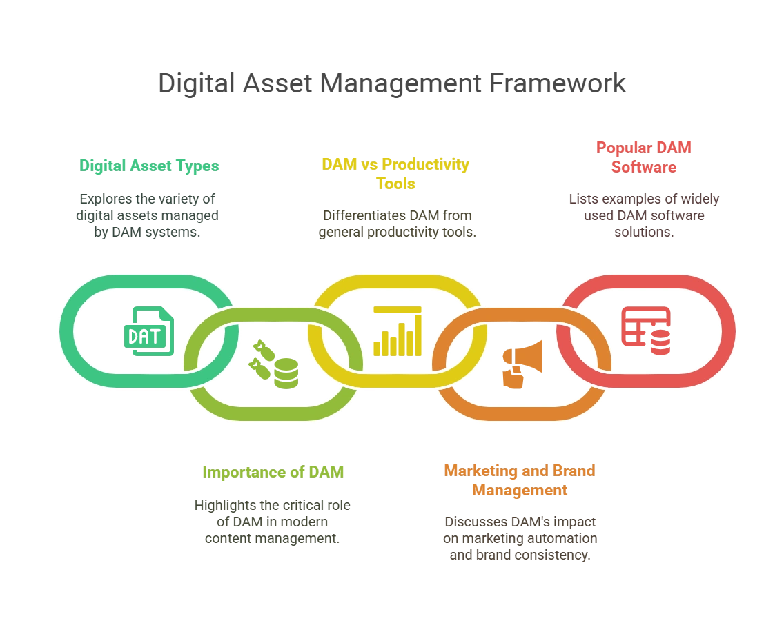 Understanding Digital Asset Management Tools