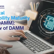 The Digital Accessibility Maturity Model (DAMM): Overview of DAMM